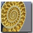 3D cut ammonite Bryce free download
